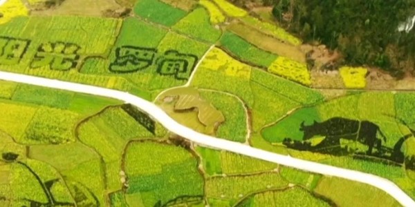 土地的涅槃｜全域土地綜合整治為何爆火？設(shè)計院如何搶占風(fēng)口？